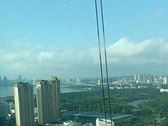 -万绿园