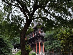 -句容茅山景区