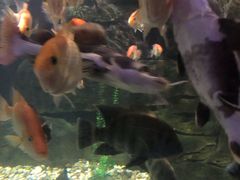 -苏州海洋馆
