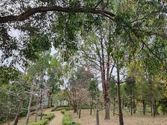 -中国移动南方基地