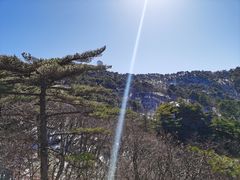 -黄山风景区