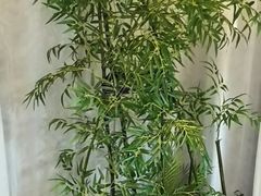 -上地宴·中关村的会客厅(清河高铁站店)