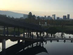 -眉山湿地公园(东坡区)