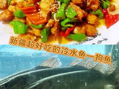 -煲来饱去冷水鱼
