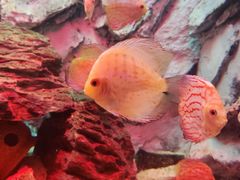 -多彩贵州城极地海洋世界