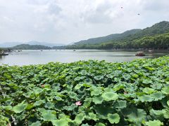 -西湖游船