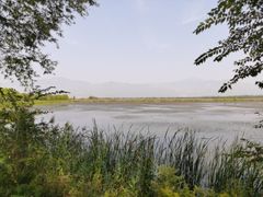 -野鸭湖国家湿地公园