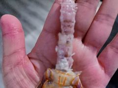 -加餐海鲜自助餐厅(福清万达店)