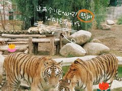 -泉州海丝野生动物世界