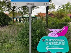 -黄海国家森林公园