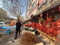 -宝鸡东道花鸟鱼虫市场(吉利花园商场店)