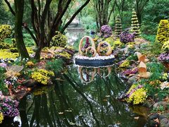 -上海共青森林公园