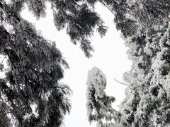 -俏湘厨•地道湘菜(建华南路店)