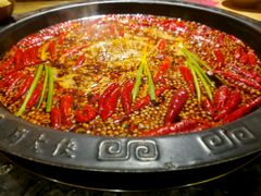 -蜀大侠火锅(建设路第五大道店)