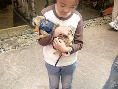 -正佳雨林生态植物园