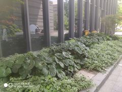 -【朵云轩艺术中心】博洛尼亚插画展·中国巡展·上海站