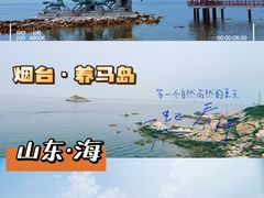 -养马岛旅游度假区