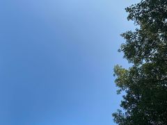 -上海月湖雕塑公园