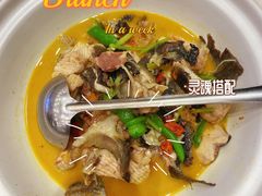 -饭怕鱼(阳光100店)