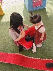 -萌宠亲子动物乐园(槐房万达店)