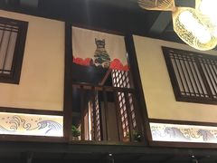 -鱼跃料理(步步高店)