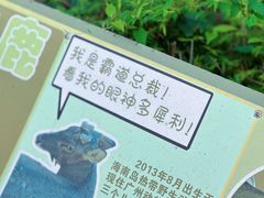 -广州动物园
