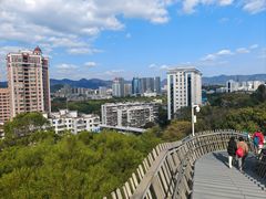 -福道