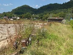 -红山村