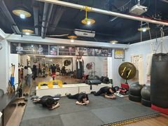 -温鉴良实用咏春拳