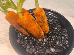 -丁老爷子苏香圆