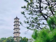 -江心屿景区