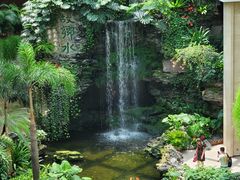 -白天鹅宾馆-宏图府餐厅