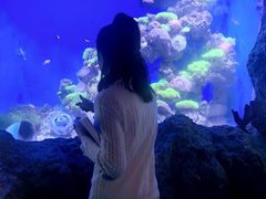-深海中餐厅(国家海洋博物馆店)
