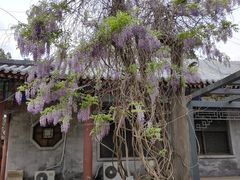-北京市劳动人民文化宫(太庙)