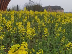 -中国天府农业博览园