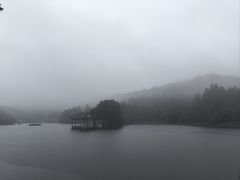 -庐山风景区花径公园