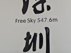-Free Sky 云际观光层