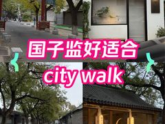 -北京国子监胡同