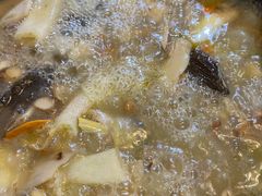 -蘑统田下·野生菌火锅