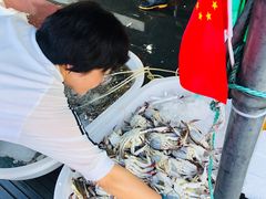 -芦潮港集贸市场