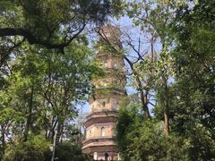 -惠州泗洲塔