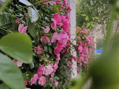 -黄浦路(地铁站)
