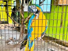 -北京野生动物园