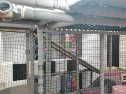 -meland club亲子乐园(重庆万象城店)