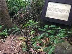 -呀诺达热带雨林