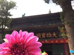 -五台山圆照寺