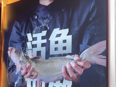 -老板恋上鱼(恒隆广场店)