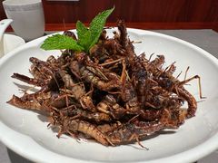 -燕春楼(海河华鼎店)