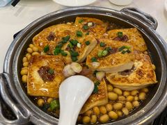 -清新鸡沙田乳鸽店(金融店)