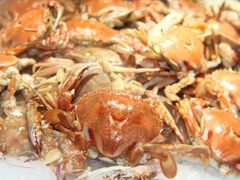 -星海汇海鲜烤肉火锅自助(二七广场百年德化店)